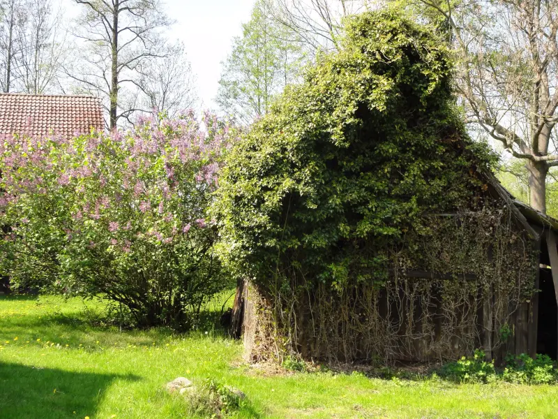 Ferienhaus Leipe