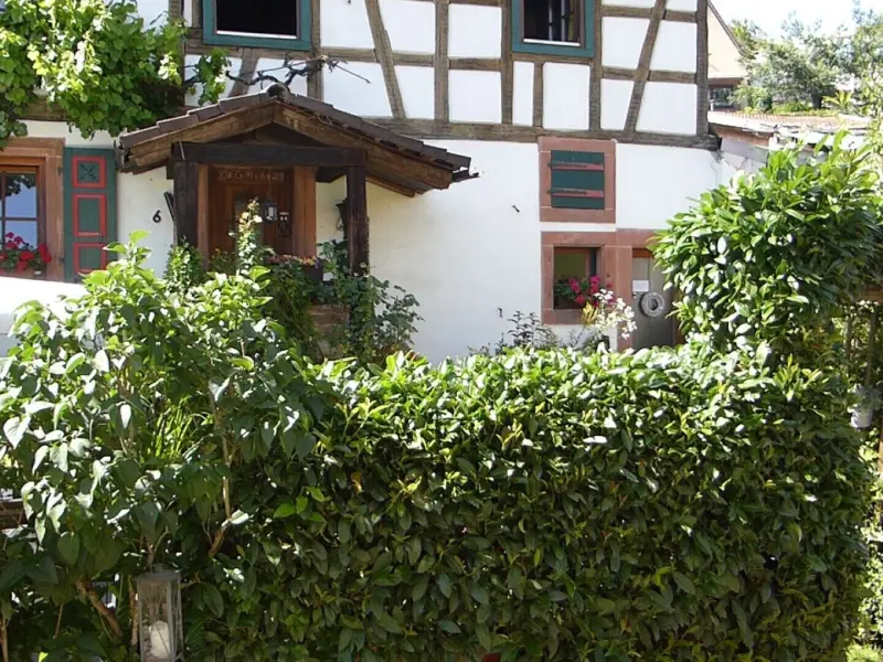 Ferienwohnung Wilgartswiesen