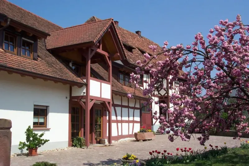 Ferienwohnung Ringsheim