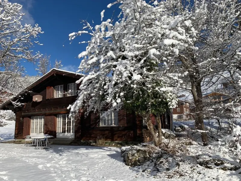 Ferienhaus Hasliberg