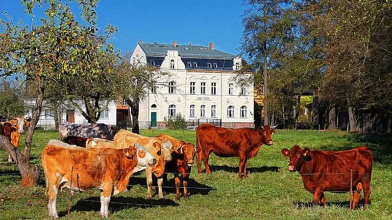 Ferienwohnung Lehde