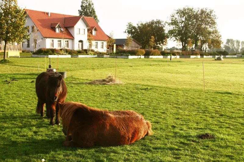 Ferienhaus Stahlbrode