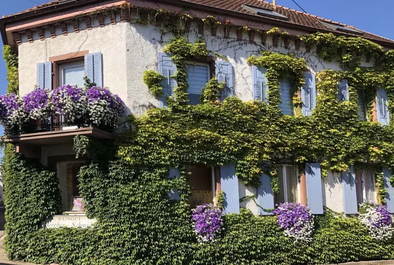 Ferienwohnung Kaiserstuhl