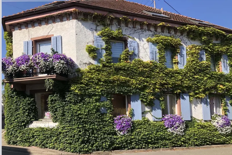 Ferienwohnung  Sasbach am Kaiserstuhl