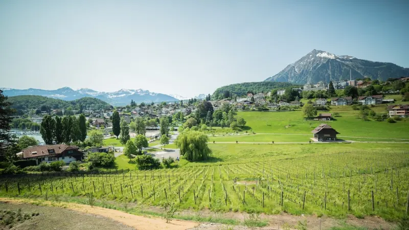Ferienwohnung  Thunersee