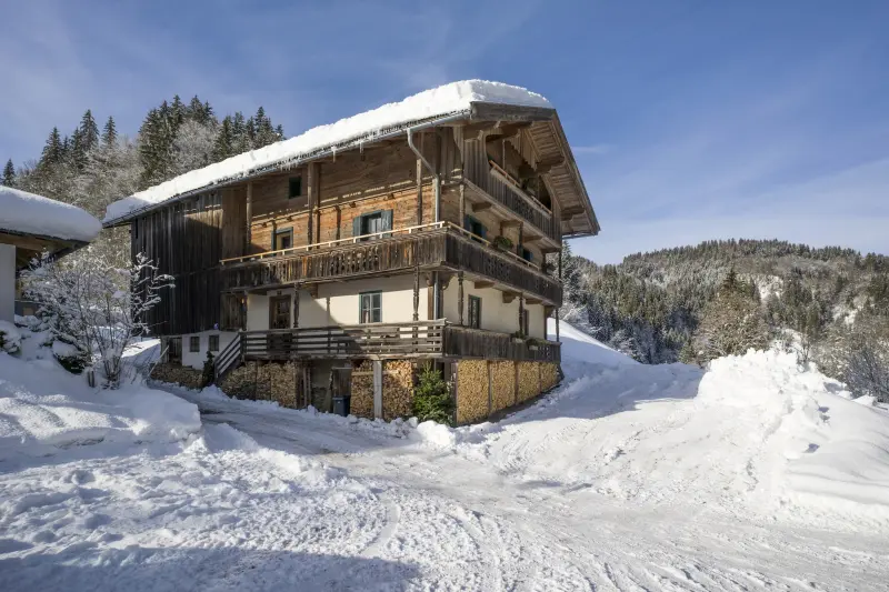 Ferienhaus mit Hund in Hopfgarten im Brixental f&uuml;r max. 10 Personen
