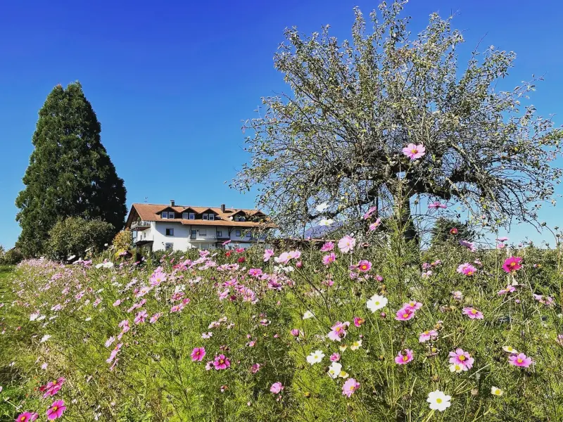 Ferienwohnung Friedrichshafen