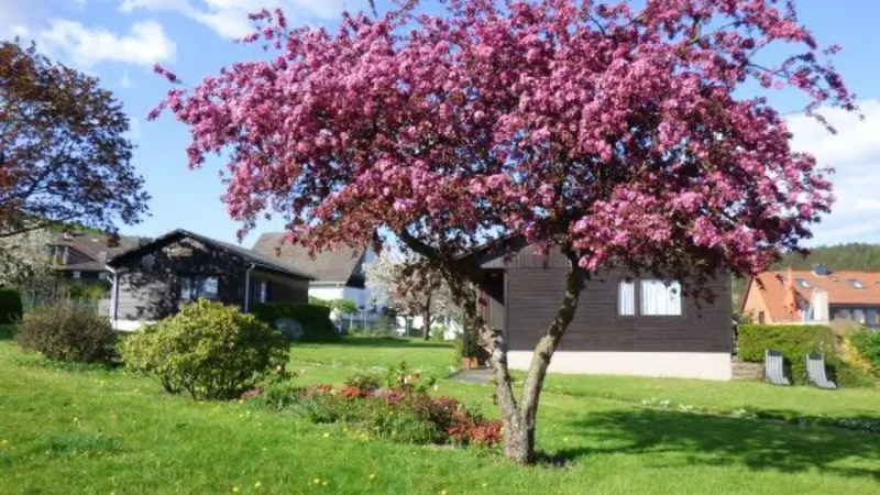 Ferienhaus  Alfeld (Leine)