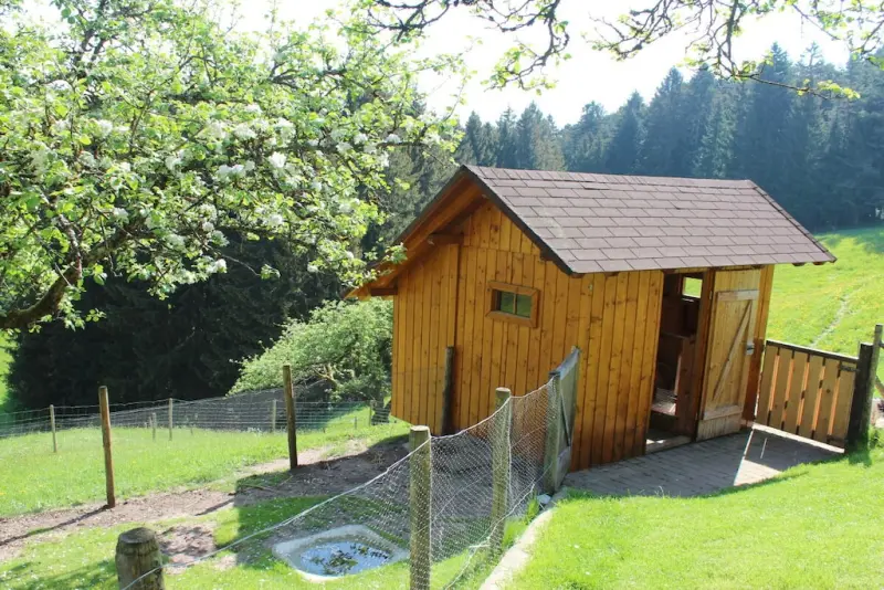 Ferienhaus Schramberg