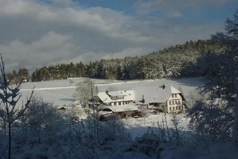 Ferienhaus  Hofstetten