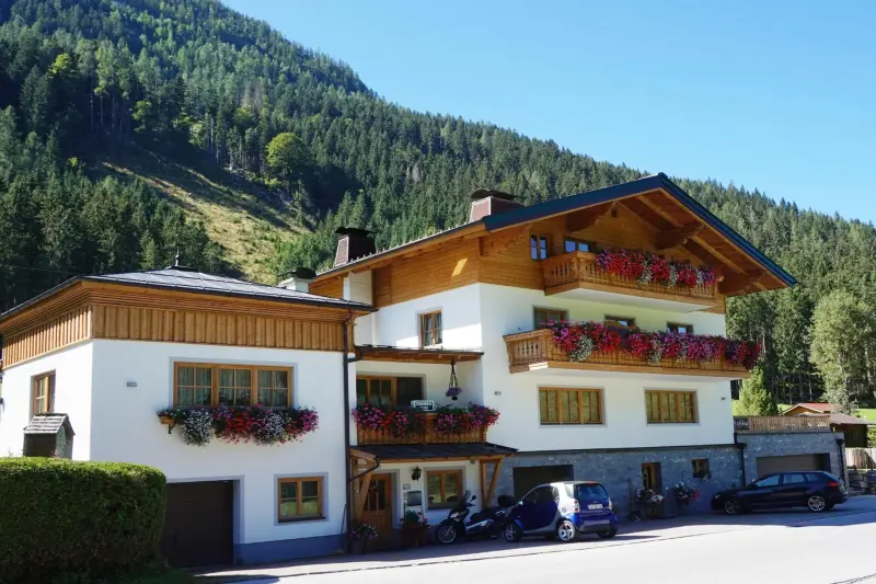 Ferienwohnung mit Hund in Flachau, Salzburger Sportwelt fuer max. 2 Personen