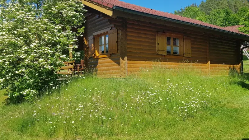 Ferienhaus Stamsried