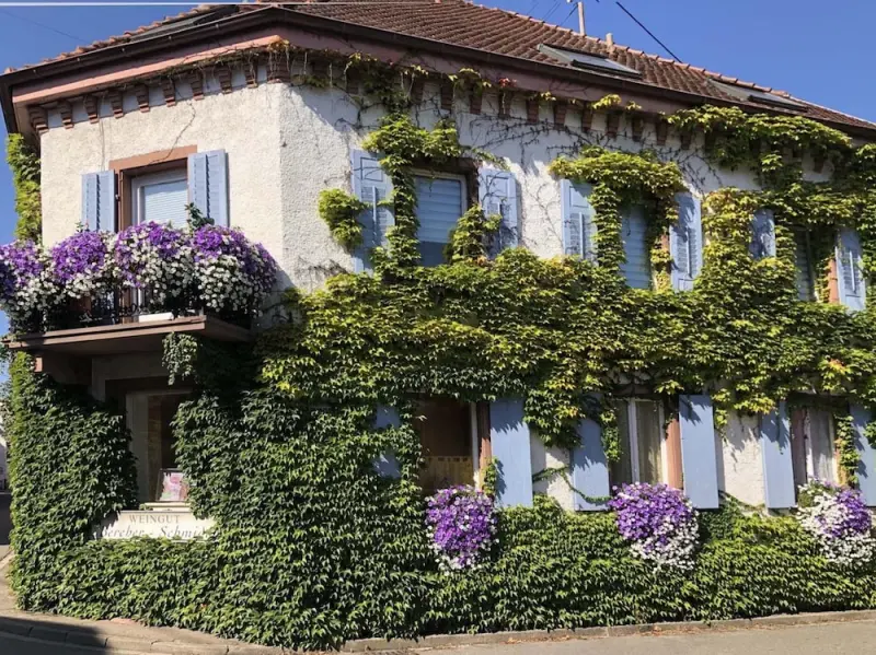 Ferienwohnung  Kaiserstuhl