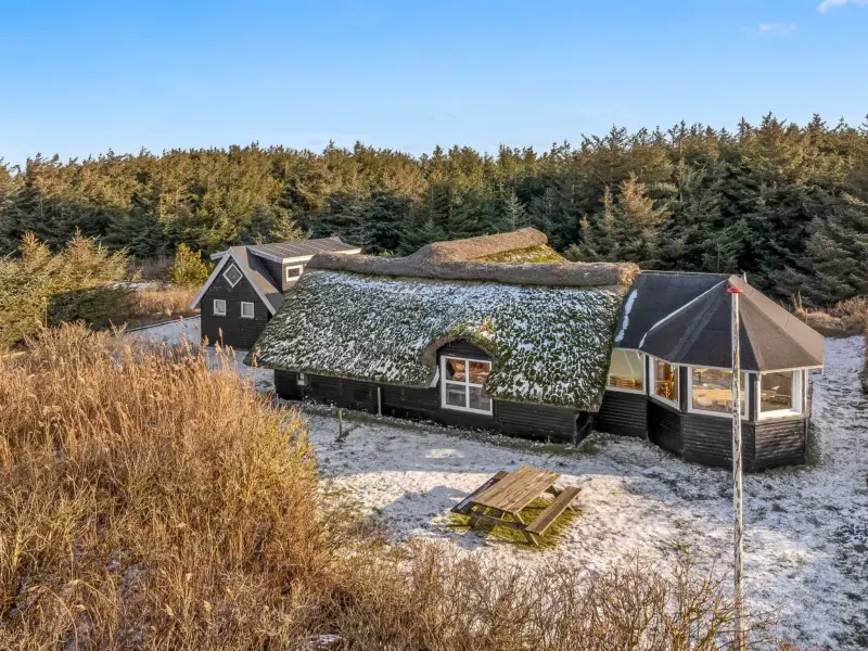 Ferienhaus mit Hund in Vrist Strand fuer max. 6 Personen