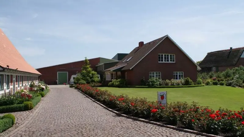 Ferienwohnung  Lühe