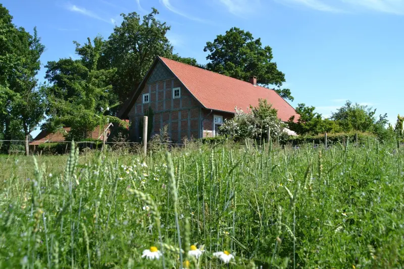 Ferienhaus  Lohne (Oldenburg)