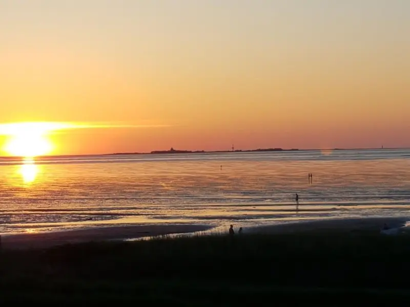 Ferienwohnung mit Hund in Sahlenburg, Cuxhaven fuer max. 2 Personen