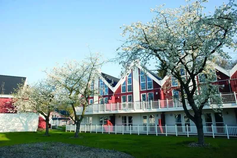 Ferienwohnung Bad Saarow