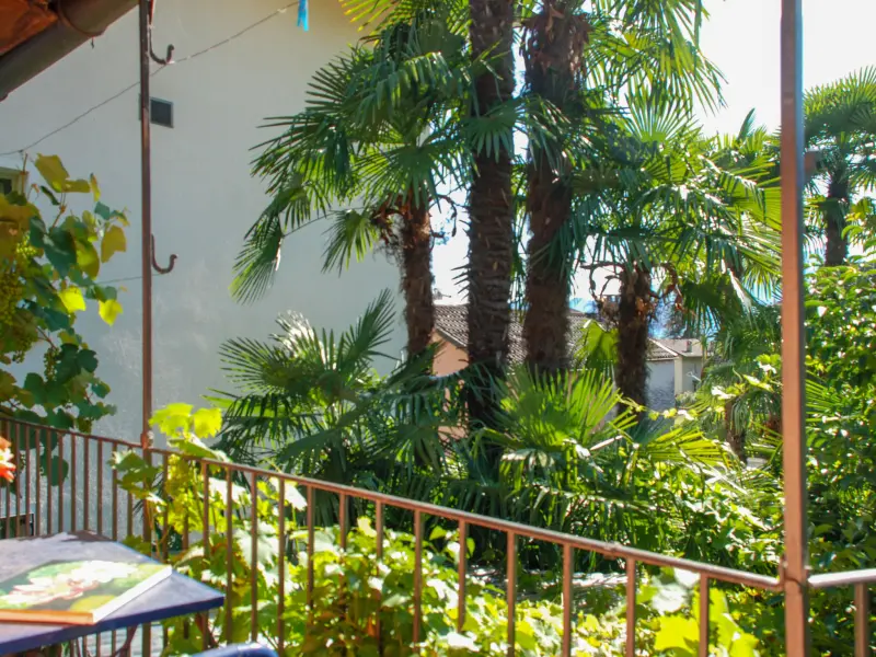 Ferienhaus  Minusio