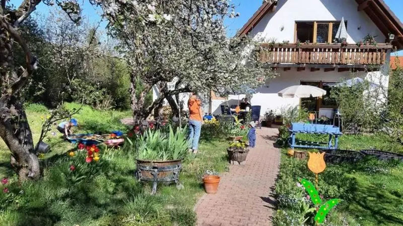 Ferienwohnung  Reinhardshausen