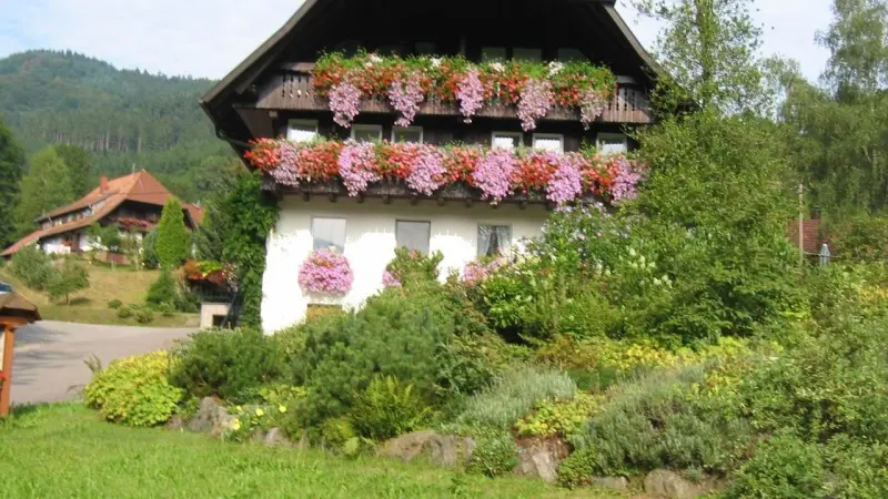 Ferienwohnung  Gutach (Schwarzwaldbahn)