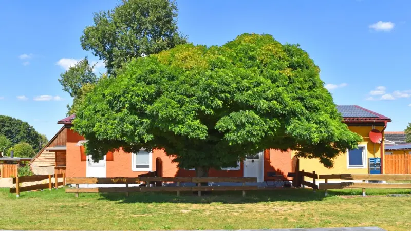 Ferienwohnung  Schwarzer See