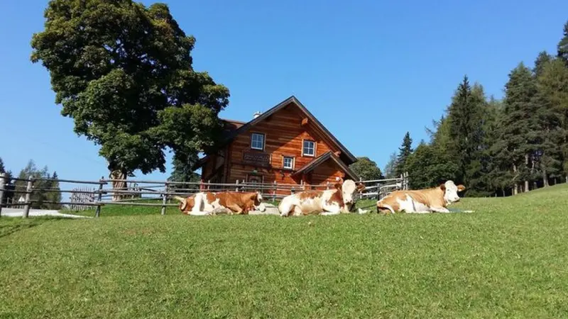 Ferienhaus  Pruggern