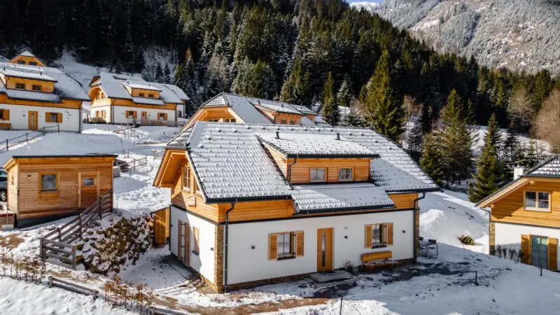 Ferienhaus  Planneralm