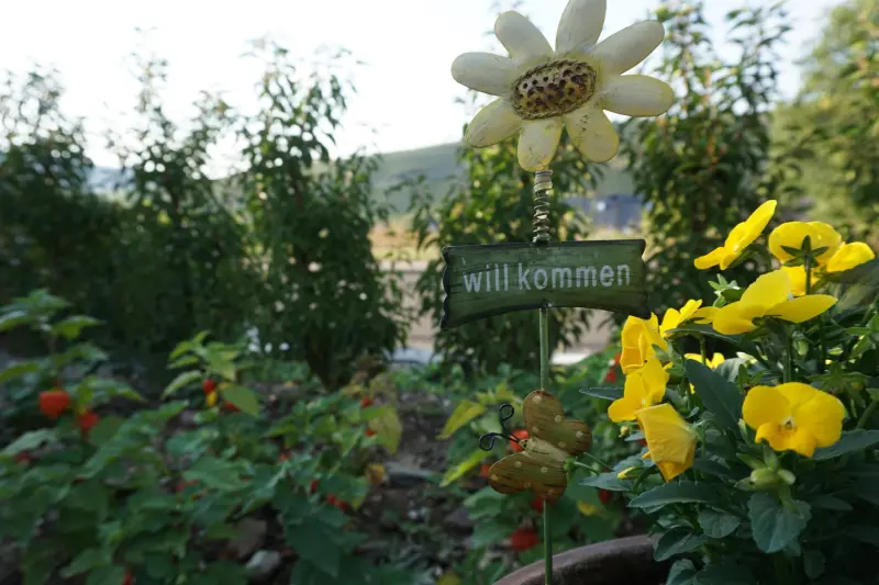 Ferienwohnung  Neumagen-Dhron