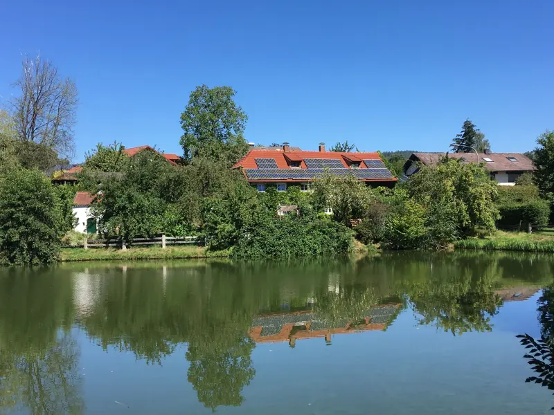 Ferienhaus Falkenfels