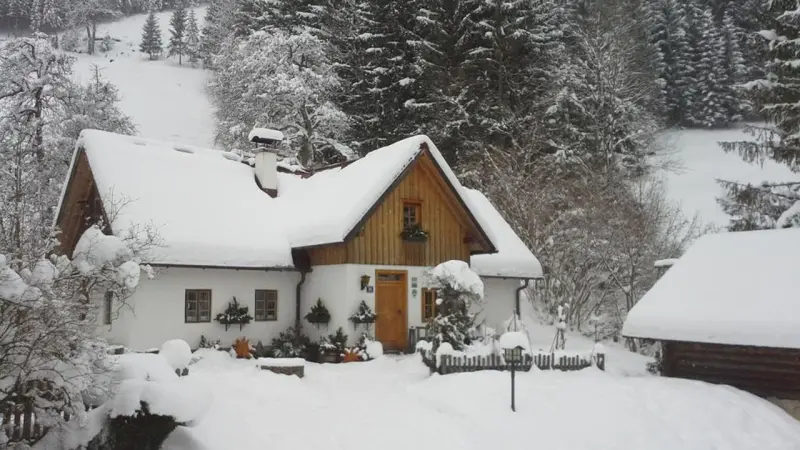Ferienhaus Eisenwiesen