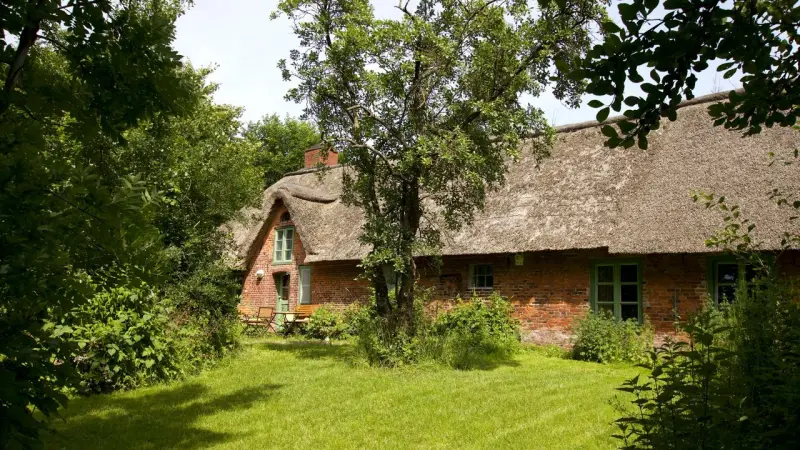 Ferienhaus  Witzwort