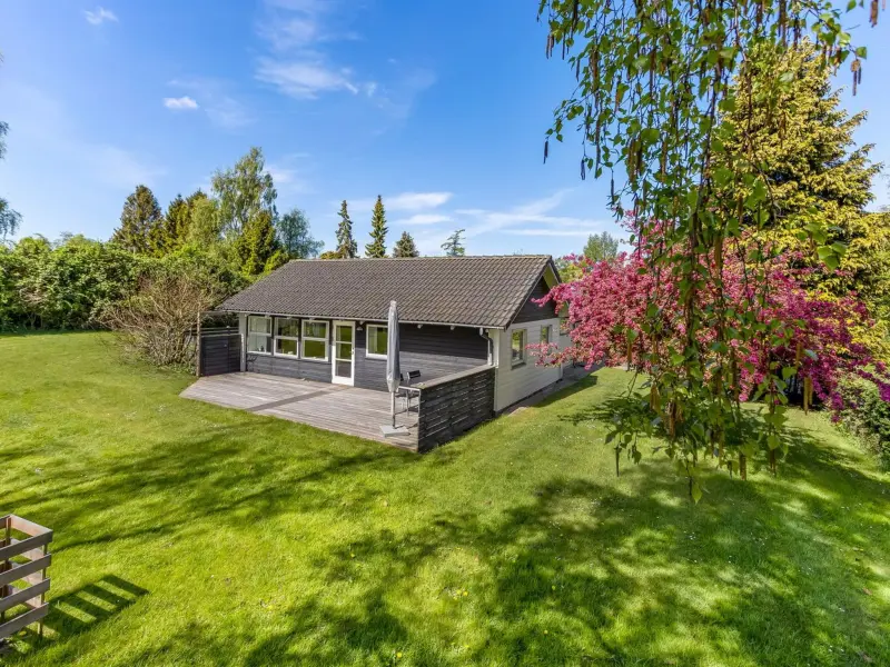 Ferienhaus Stege