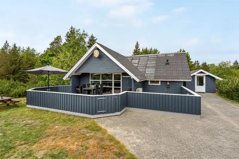 Ferienhaus mit Hund in Blåvand fuer max. 6 Personen