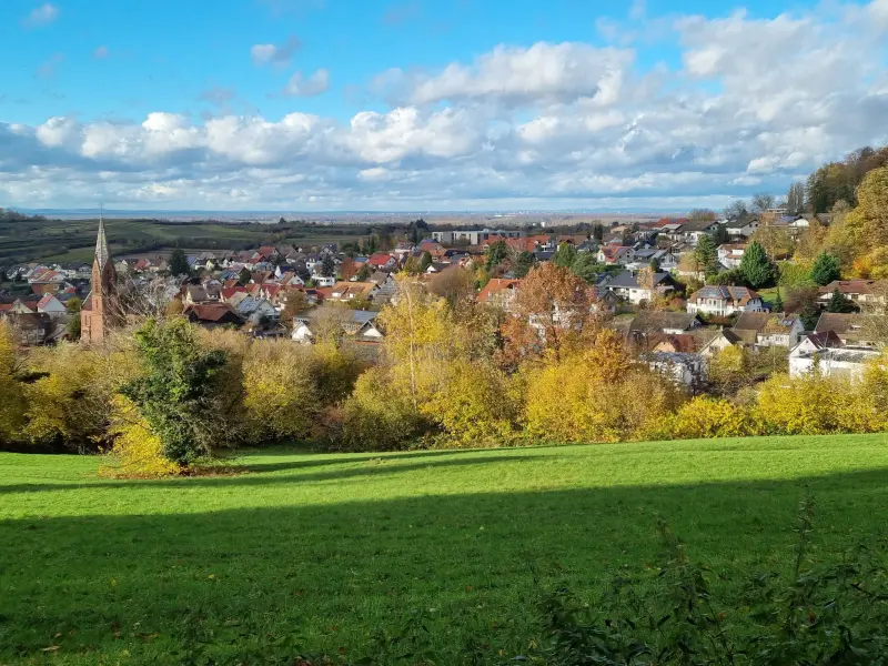Ferienwohnung Friesenheim