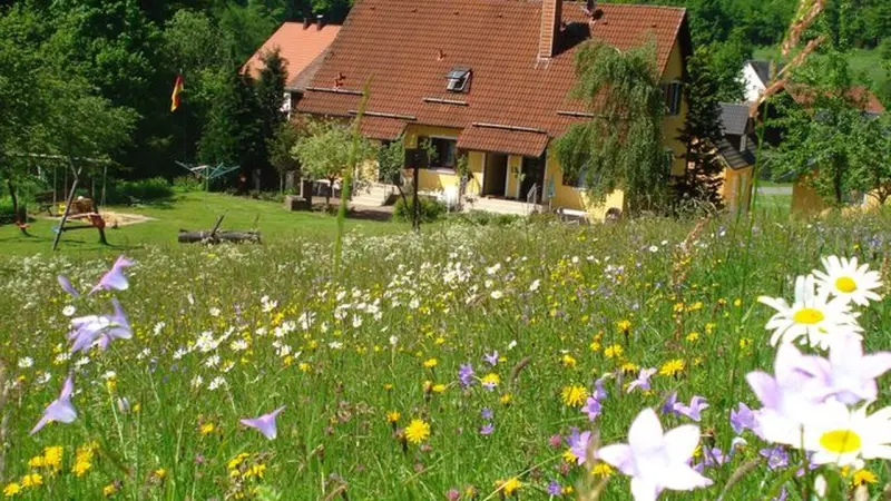 Ferienwohnung Hollfeld