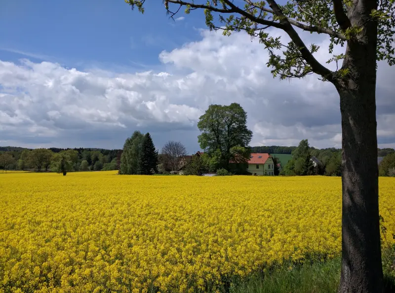 Ferienwohnung Neukirch/Lausitz