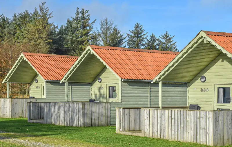 Ferienhaus mit Hund inHanstholm, Dänische Nordseeküste  f&uuml;r max. 4 Personen