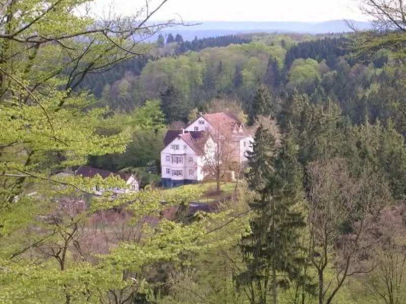Ferienwohnung Wieda