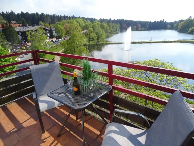 Ferienwohnung Hahnenklee