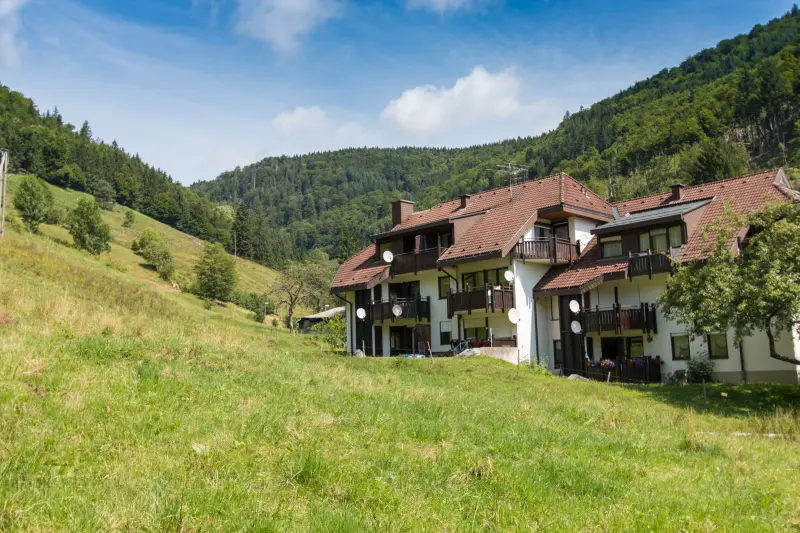 Ferienwohnung Todtnauberg