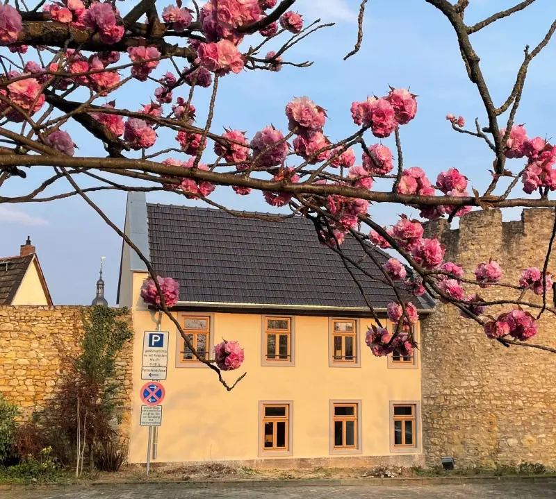 Ferienwohnung  Gonsenheim