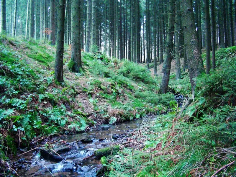 Privatzimmer Eslohe (Sauerland)