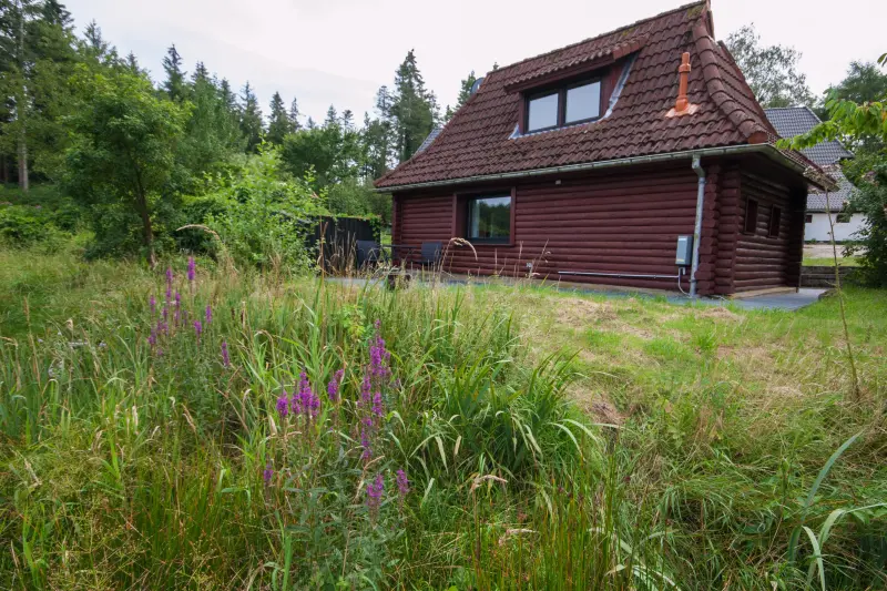 Ferienhaus Albersdorf