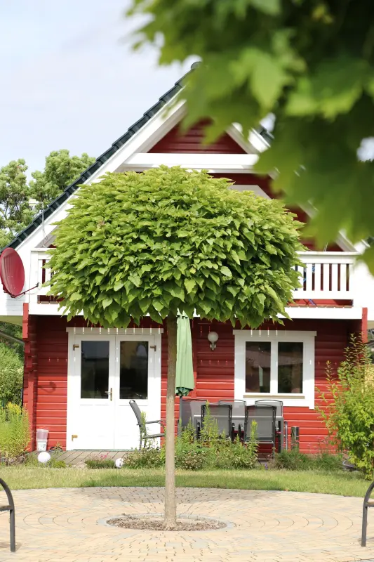 Ferienhaus Oberdorla