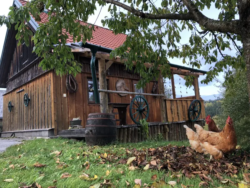 House Schanz