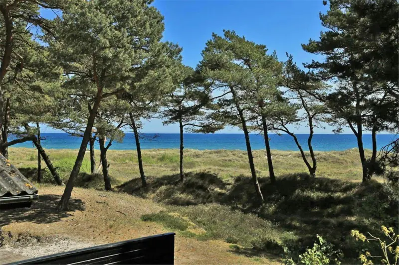 Ferienhaus mit Hund inDueodde, Dueodde Strand  f&uuml;r max. 6 Personen