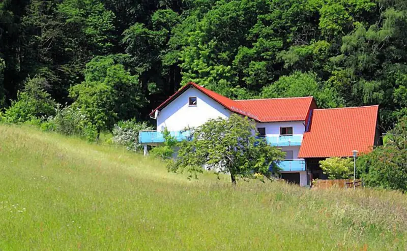 Ferienwohnung Schriesheim
