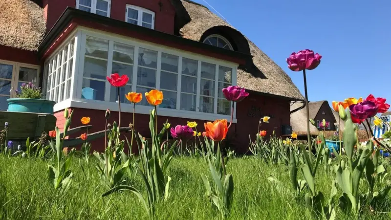 Ferienwohnung Nebel