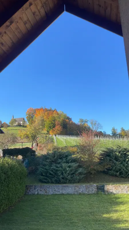 Ferienwohnung Bad Schallerbach